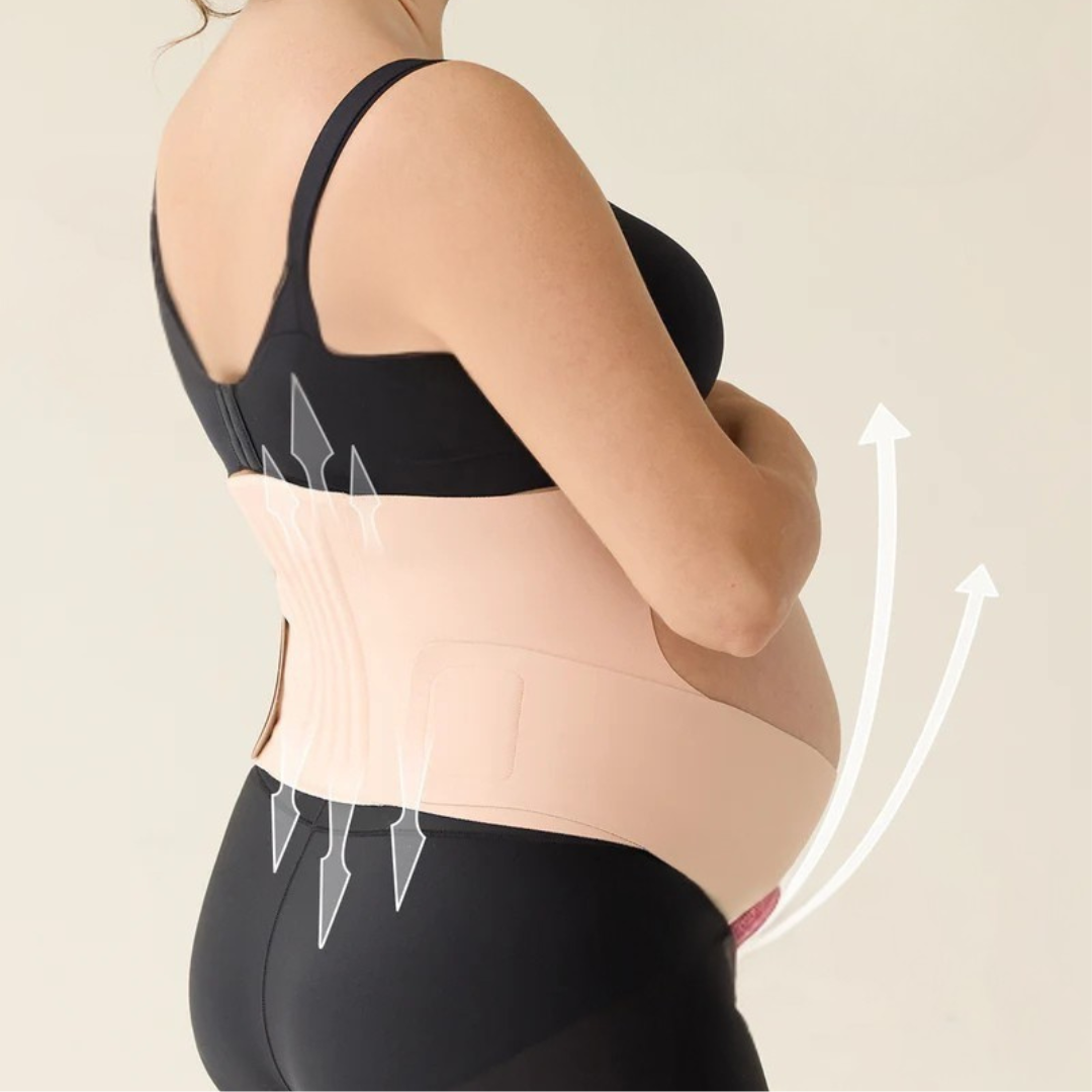 Elevara Belly Band