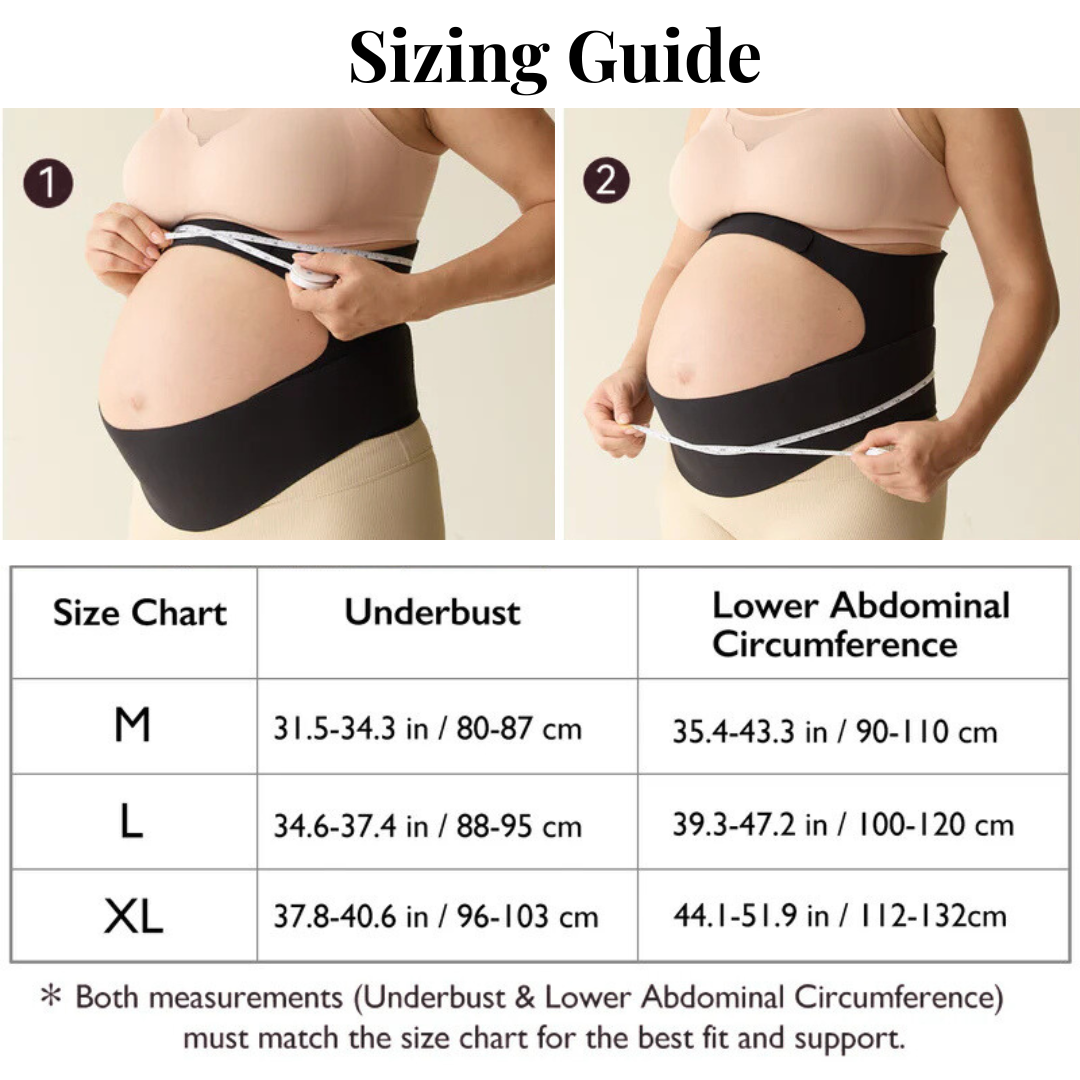 Elevara Belly Band
